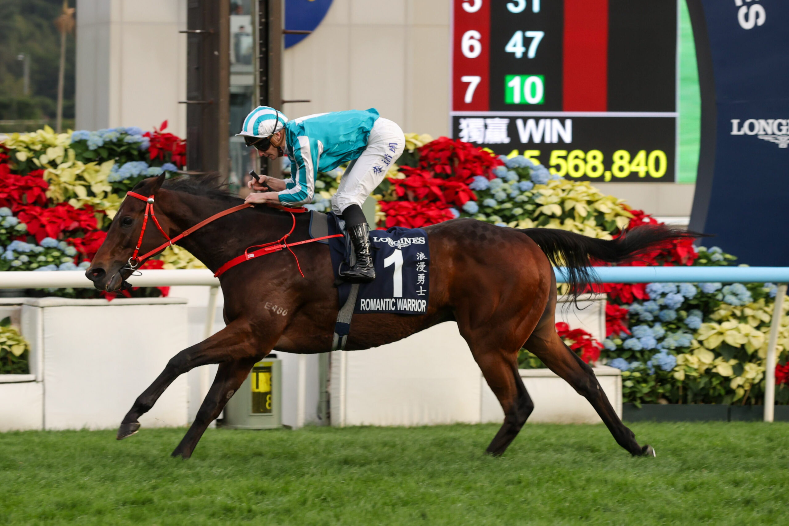 Romantic Warrior won the Group 1 Hong Kong Cup Romantic Warrior won the Group 1 Hong Kong Cup