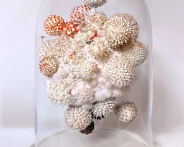 Amy Gross’s whimsical beaded sculptures consider our planet’s smallest life forms—huge