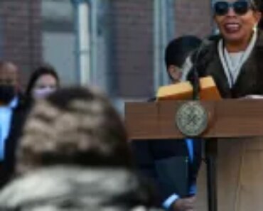 Curator Diya Vij selected as New York City’s next cultural affairs commissioner