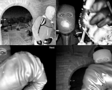 Digital forensics may be a tool to help ‘paint a picture of the truth’ in the Guthrie case Digital forensics may be a tool to help ‘paint a picture of the truth’ in the Guthrie case