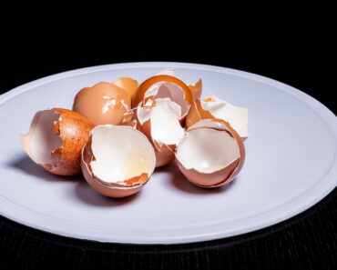 Eggshell Membrane Collagen: An important connective tissue for skin, hair and nails.