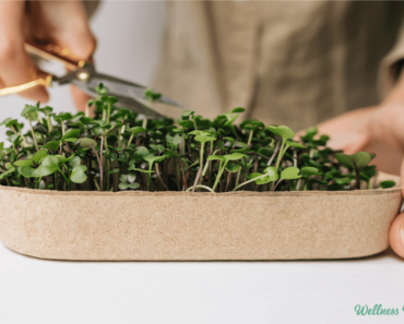 How to Grow Microgreens at Home (The Easy Way) How to Grow Microgreens at Home (The Easy Way)