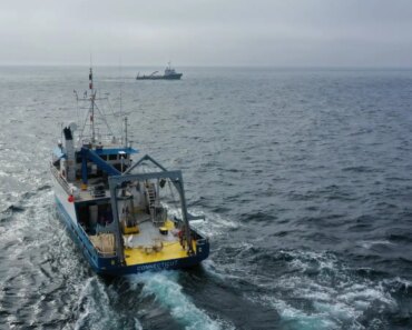 Ocean geoengineering trials find no evidence of harm to marine life Ocean geoengineering trials find no evidence of harm to marine life