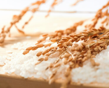 Rice Ceramides: the unsung hero of body hydration and immune health