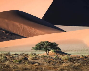 The Beautiful America Winners at the 2026 Sony World Photography Awards » Design You Trust — Design Daily Self 2007