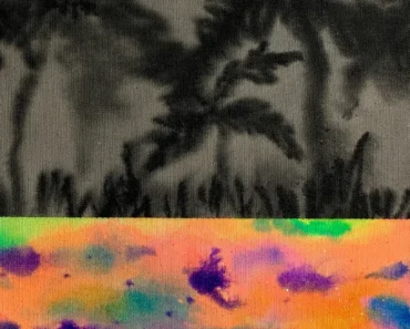 Viera Šágová: a life of contrasts and elegance Viera Šágová: a life of contrasts and elegance