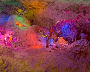 Xueyunxue Fu: Research-driven vision of virtual space Xueyunxue Fu: Research-driven vision of virtual space