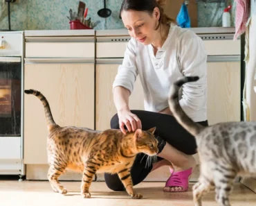 3 ways your side hustle may be hurting your credit without you even realizing it