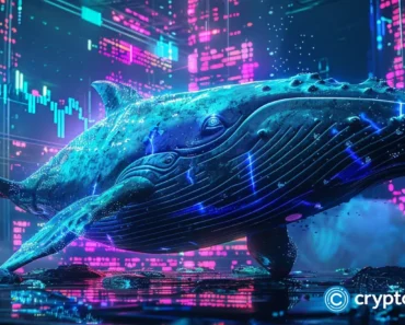 A look at the kitcoins to watch this month