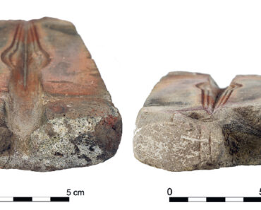 A man in the Czech Republic accidentally finds a Bronze Age spearhead form in his garden