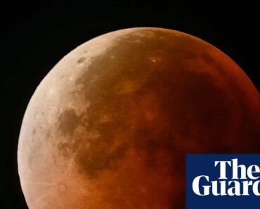 A rare ‘blood moon’ total lunar eclipse looms over North America, Australia and New Zealand | Science A rare ‘blood moon’ total lunar eclipse looms over North America, Australia and New Zealand | Science