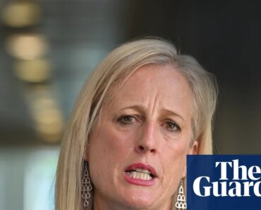 ‘A victory for democracy’: Labor abandons changes to freedom of information law that would have reduced transparency | Freedom of information ‘A victory for democracy’: Labor abandons changes to freedom of information law that would have reduced transparency | Freedom of information