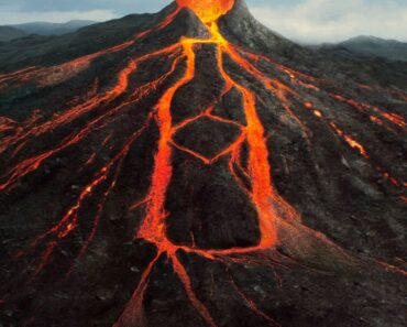 Absolut x Tabasco: Designing heat without gimmicks