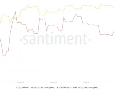 After the 10/10 market crash, major whales get 4.18B XRP