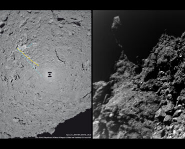 All 5 ‘letters’ of DNA found on an asteroid speeding through our solar system. What do they tell us about the origin of life? All 5 ‘letters’ of DNA found on an asteroid speeding through our solar system. What do they tell us about the origin of life?