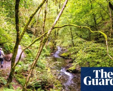 Almost three quarters of England’s forests are inaccessible to the public, study says | Access to green spaces. Almost three quarters of England’s forests are inaccessible to the public, study says | Access to green spaces.