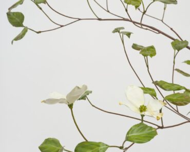 Álvaro Urbano pauses metal factory for brief moment of decay — Huge