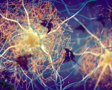 Alzheimer’s can start with inflammation in the skin, lungs or intestines