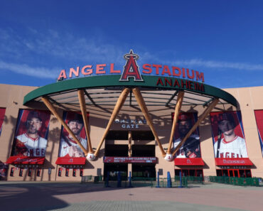 Angels who create TV networks