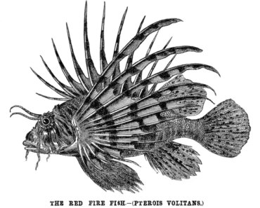 April 2026: Science history from 50, 100 and 150 years ago