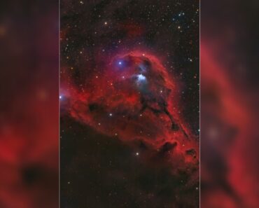 Astrophotographer spends almost 70 hours capturing a delicate blue nebula in Orion (photo)