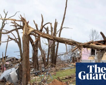 At least eight people dead after a series of tornadoes in the central United States | Michigan