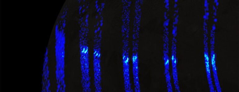 Auroras on Jupiter’s Giant Moon Ganymede Look Like Earth’s Northern Lights, NASA Spacecraft Reveals