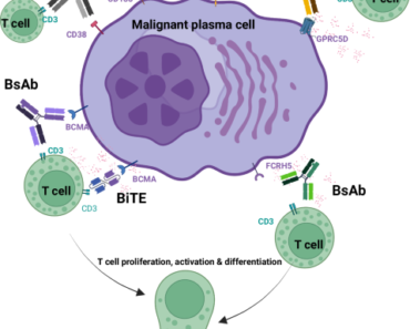BCMA-Targeted Therapies in Multiple Myeloma: Teclistamab vs CAR-T vs Antibody-Drug Conjugates