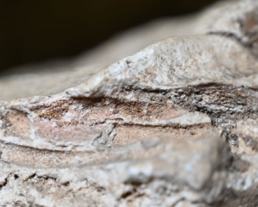 Babies were not meant to be mourned in the Roman Empire. These rare liquid plaster burials prove otherwise.