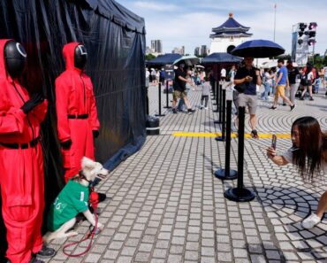 Banjai, All 3 Media for entertainment business integration