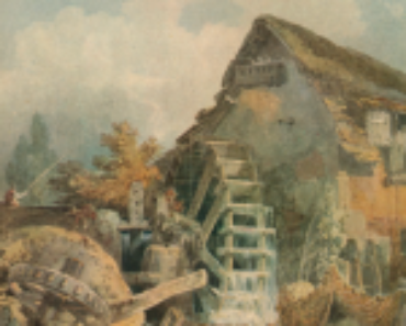 Bank of England to replace JMW Turner with British wildlife on banknotes