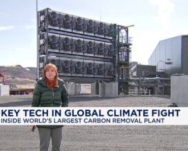 Big Tech Sees Carbon Credits Amid AI Race; Microsoft leads the way Big Tech Sees Carbon Credits Amid AI Race; Microsoft leads the way