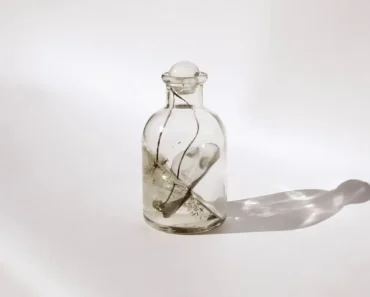 Biljana Petreska: When presence leaves visible traces