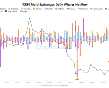 Binance XRP Coin Expiration Continues – What Happens?