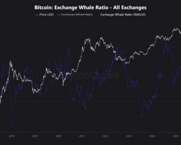 Bitcoin Big Money On The Move: Shark Ratio Exchange Increases To 0.6