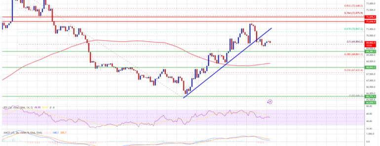 Bitcoin Price Rebound Tests Bulls – Attempted Earnings Jump?