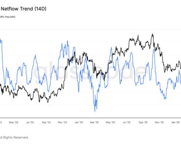 Bitcoin Spot ETFs See 14-Day Net Growth: Demand Reversal?