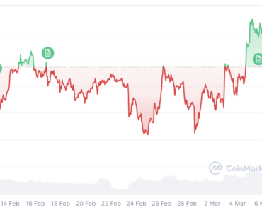 Bitcoin ‘bull trap’ as mid-term bear market approaches: Analyst Bitcoin ‘bull trap’ as mid-term bear market approaches: Analyst