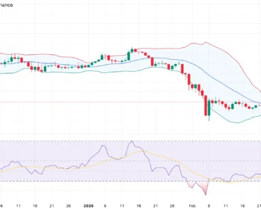 Bitcoin price changes as the IFP indicator rises