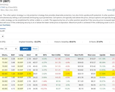 Bitcoin’s wild ride makes this options strategy strictly for profit and passion seekers Bitcoin’s wild ride makes this options strategy strictly for profit and passion seekers