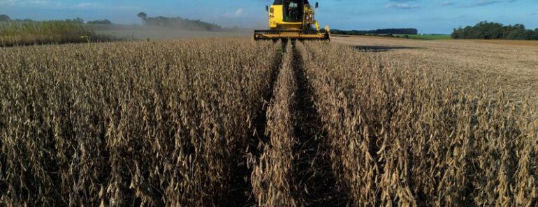 Brazilian farmers are facing diesel costs as the Middle East conflict has pushed up fuel prices