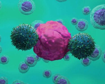 CAR T-cell therapy can slow neurodegenerative conditions such as ALS