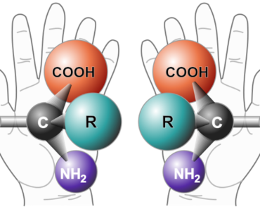 Can scientists discover life without knowing what it looks like?