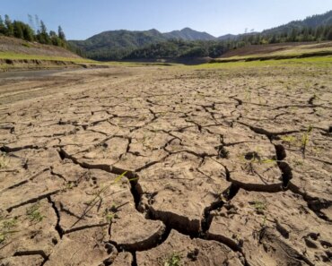 Can species evolve fast enough to survive as the planet warms?