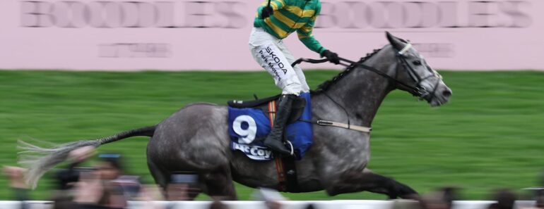 Cheltenham Festival horse racing in crisis Charles Allen resigns