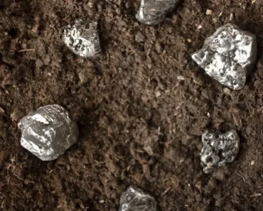 Chile Cobalt is expanding the NeoRe project in southern Chile