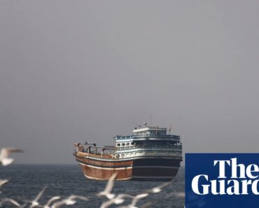 China calls for protection of ships in the Strait of Hormuz as shipping costs rise | shipping industry