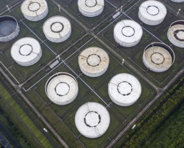 China stocks soften global oil shock