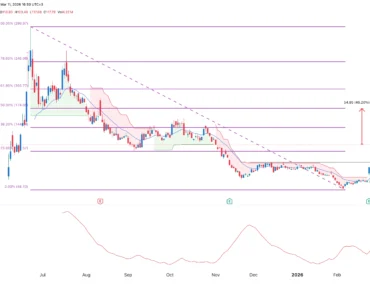 Circle Shares Target Up 45% As USDC Approaches Key $80B Milestone