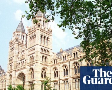 Descendants of Zimbabwe resistance heroes urge UK to locate looted skulls | Zimbabwe